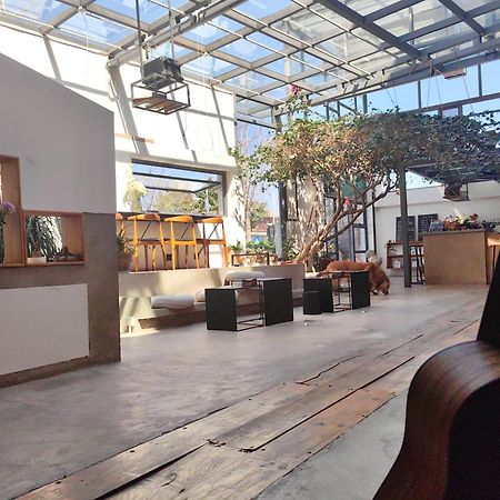 Dali Loft Travelling With Hostel エクステリア 写真