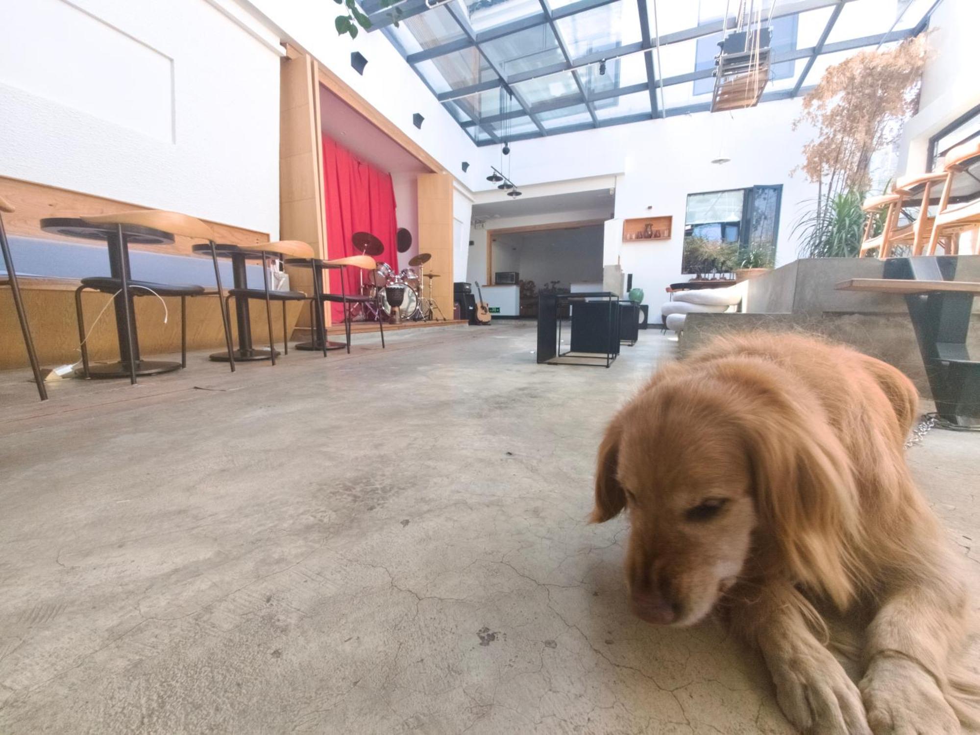 Dali Loft Travelling With Hostel エクステリア 写真