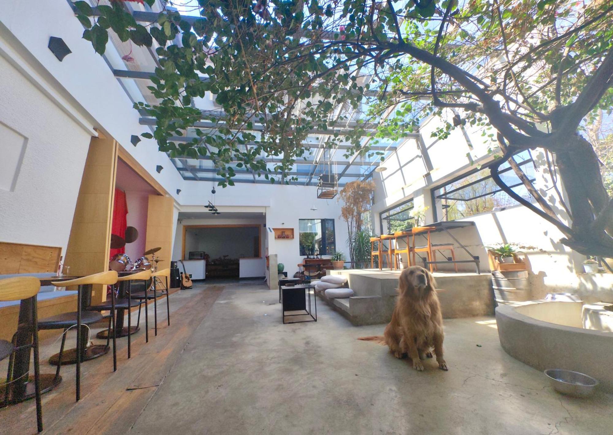 Dali Loft Travelling With Hostel エクステリア 写真